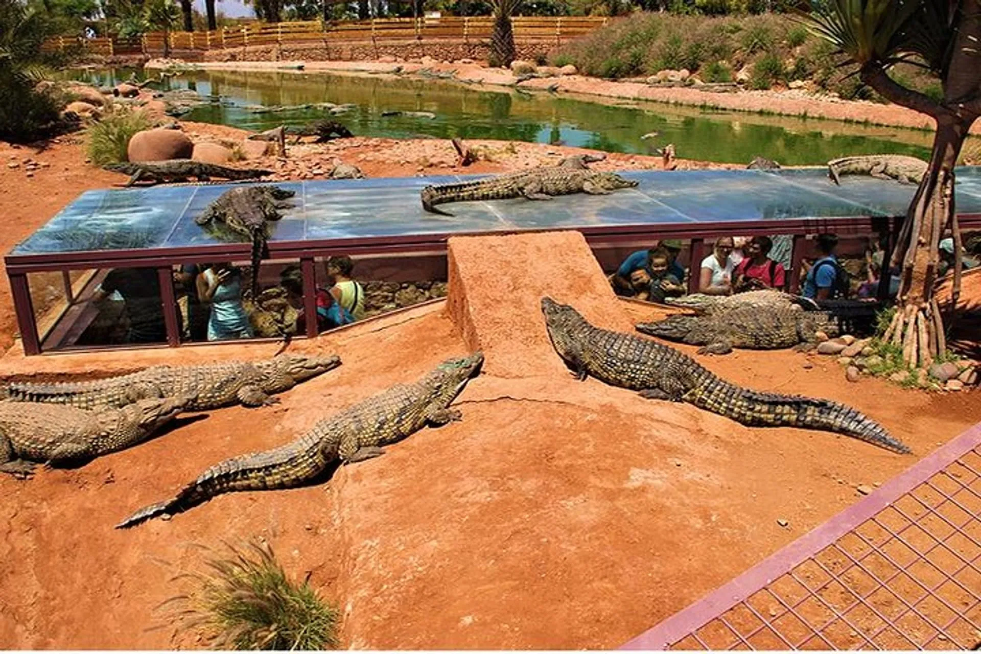 CROCO PARC